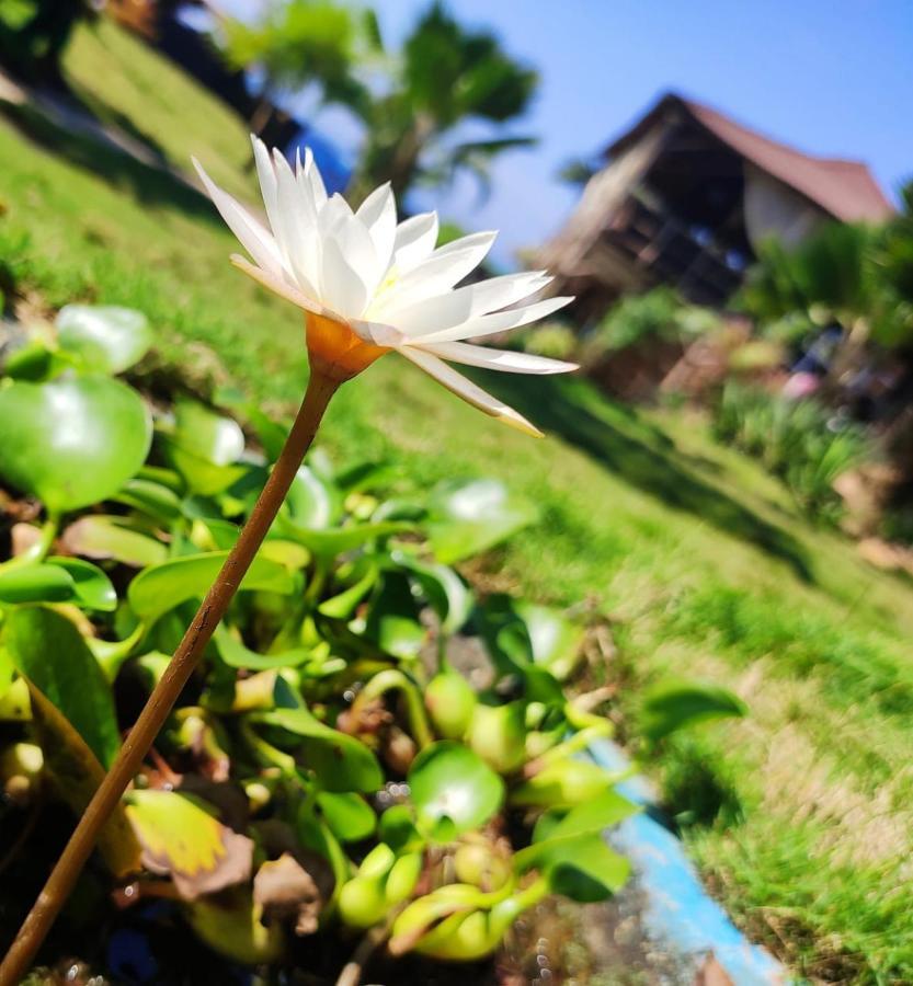 Lotus Sutra 호텔 아람볼 외부 사진