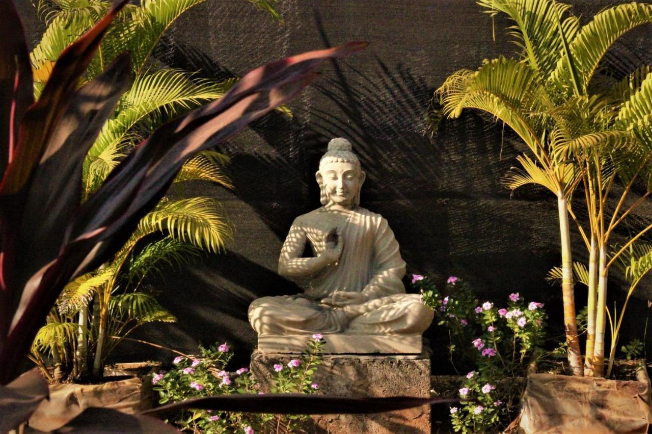 Lotus Sutra 호텔 아람볼 외부 사진